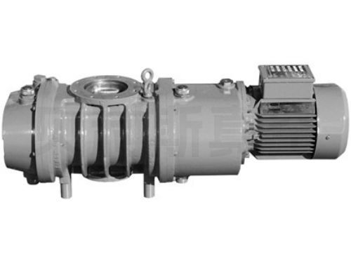 爱德华罗茨泵 EH500